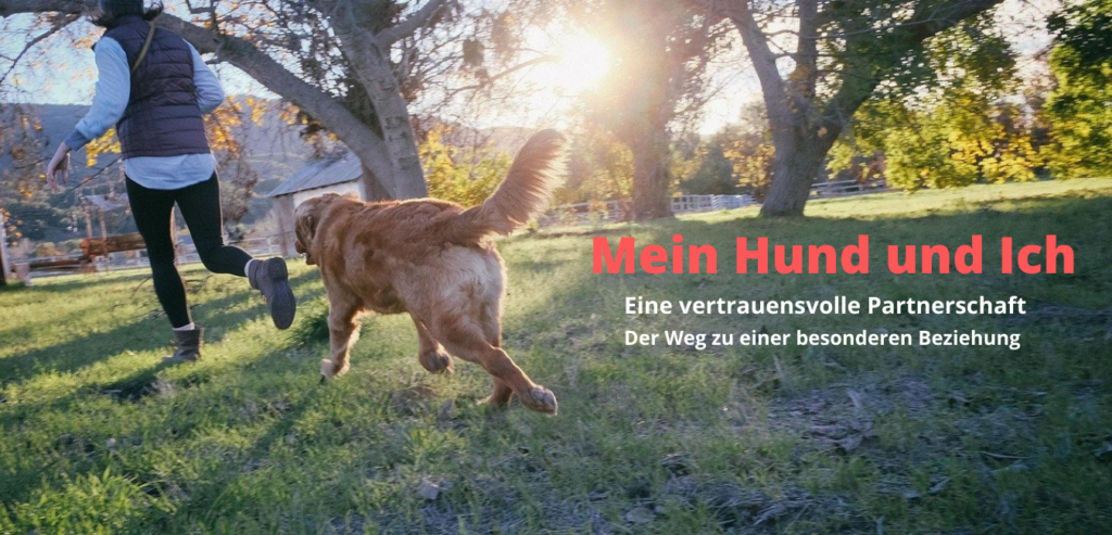 Header Mein Hund und Ich
