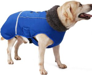 wasserdichte Hundejacke