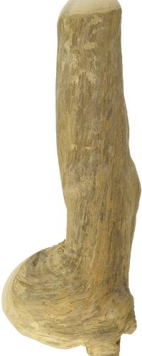 Hundespielzeug große Hunde